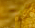 Cheat cs 1.6 et source